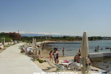 Apartmani Villa Goga  foto 2