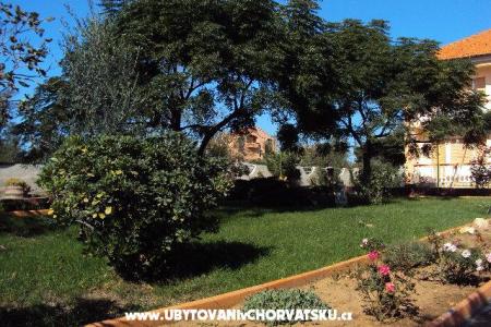 Apartmani Barbara foto 2