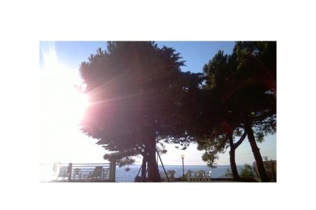 Apartmani Šime foto 3