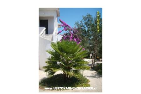 Apartmani Šime foto 5