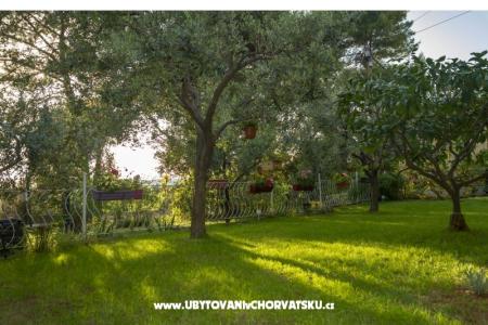 Apartman Petra foto 5