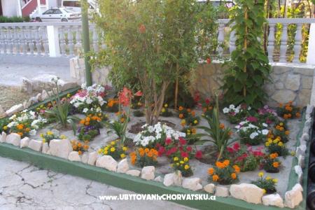 Apartmani Ancy foto 3