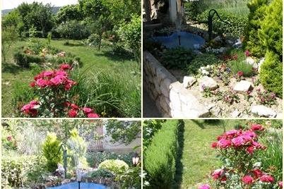 Apartmani Skoblar Holiday-Rab foto 2