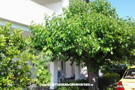 Apartmani Snjezana otok Rab Hrvatska