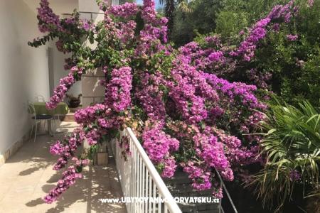 Apartmani  Španjol foto 4