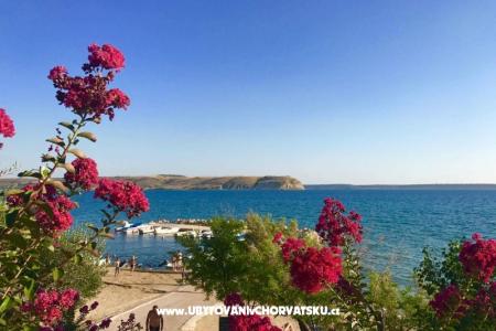 Apartmani Marin Stošić foto 2