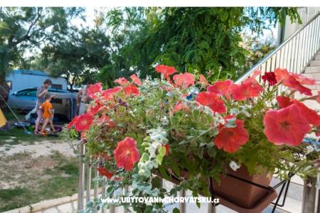 Apartmani Puntica foto 3