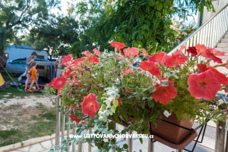 Apartmani Puntica foto 2
