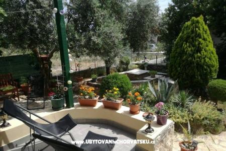 Apartman Pane foto 4