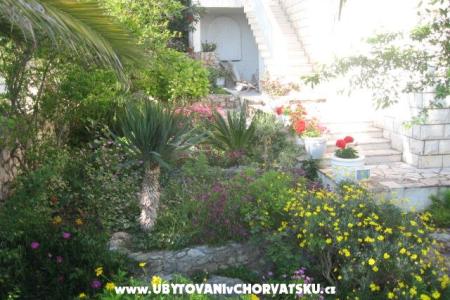 Villa Jozo Apartmani foto 5