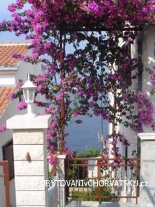 Apartmani Lucija foto 4