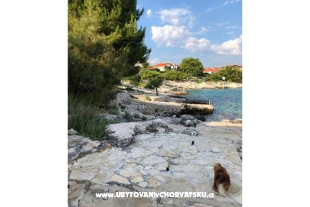 Apartman Luna foto 3