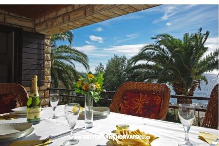 Apartman Villa Sunshine foto 5