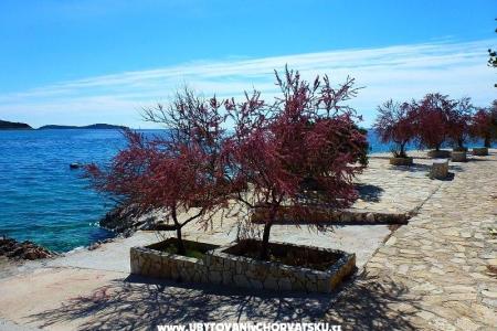 Apartmani Jurjević foto 4