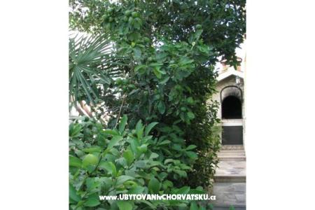 Apartmani Villa Milakovic foto 4