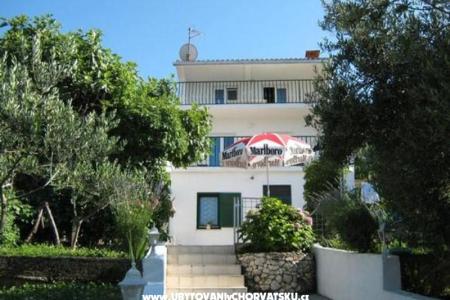 Maxi Apartman foto 3