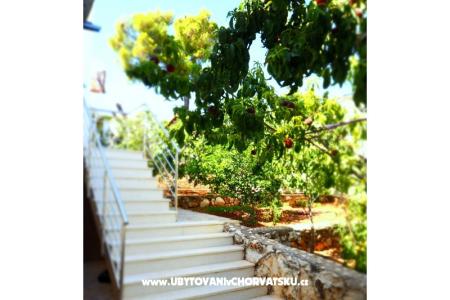 Sapa Apartman foto 4