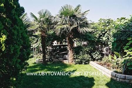 Apartmani BOS-KO foto 3