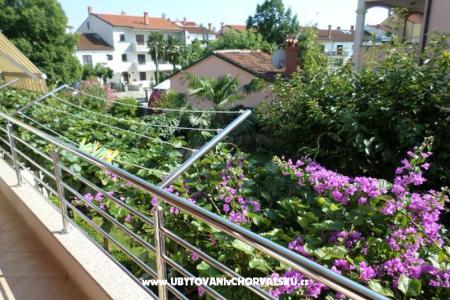 Apartmani Kamelia foto 3