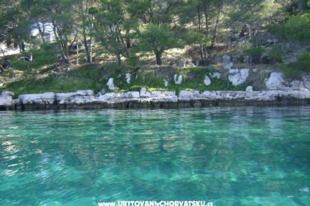 Apartmani - Otok Lavdara foto 2