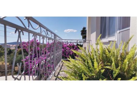 Apartman Mare foto 2