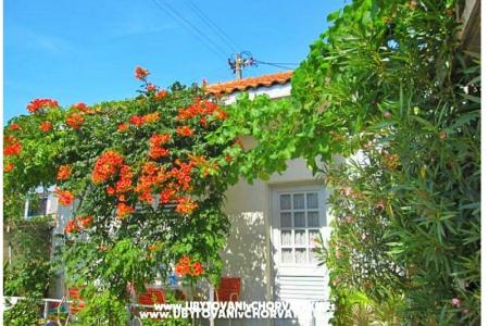 Apartmani Antić foto 3