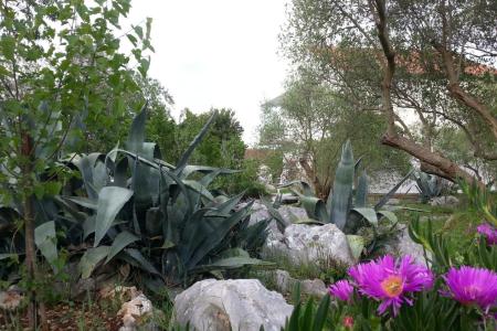Apartmani Vlado foto 4