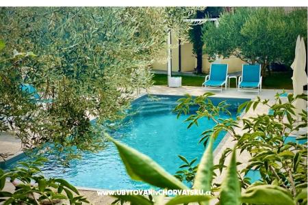 Villa Dube Slano/ villa sa bazenom foto 4