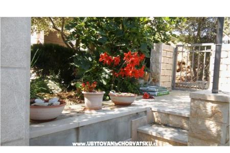Apartmani Nikola foto 5