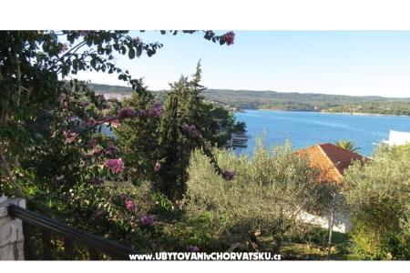 Apartmani Janja foto 2