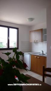 Apartmani Ivana foto 4