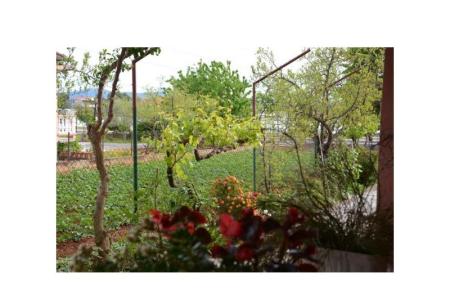Apartmani Peričić foto 3