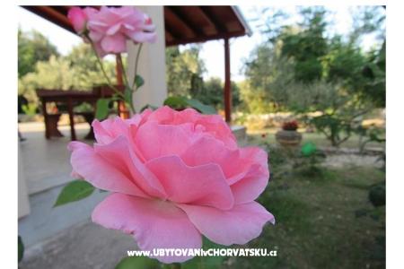 Kuća za odmor Dević foto 2