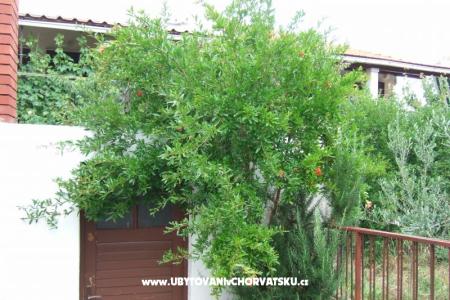 Apartman Lenka foto 5
