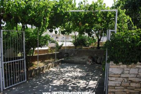 Apartmani Vinka foto 3