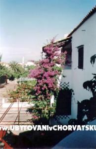 Apartmani Derado foto 4