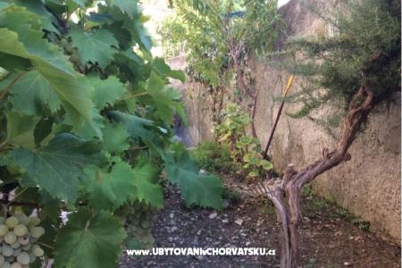 Apartmani Adria foto 5
