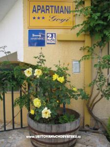 Apartmani Gogi foto 2