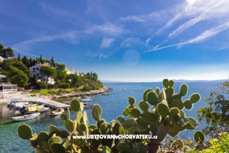 Apartmani ŠUKI foto 5