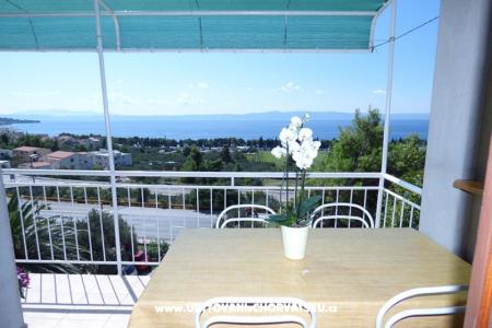 Apartmani Dalija foto 2