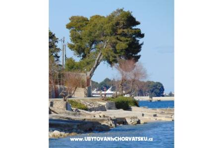 Apartman rosa foto 4