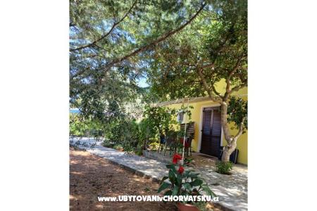 Apartmani Galius Ugljan foto 2