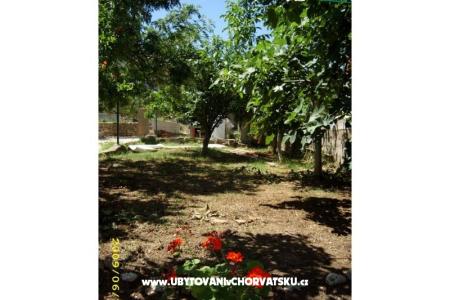 Kuća za odmor Villa Jadran foto 5