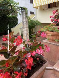 Apartmani Maris  foto 2