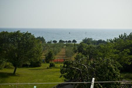 Apartmani Paradinovic foto 2