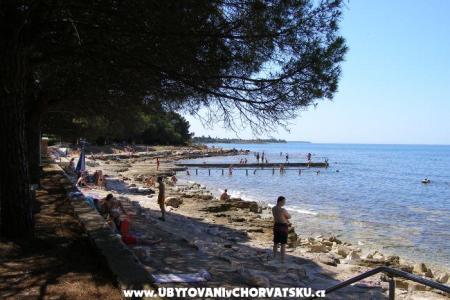 Apartmani San Pelegrin Umag Hrvatska
