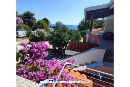 Apartmani Delfin otok Vir Hrvatska