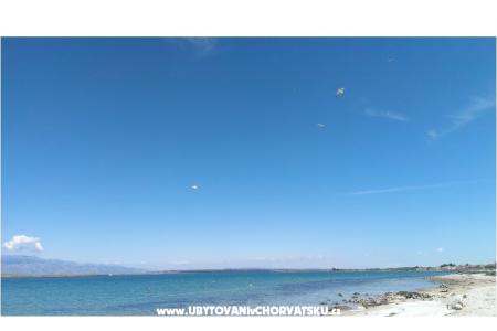 Apartmani Alma otok Vir Hrvatska