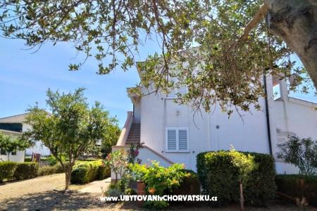 Apartmani Budija / Viola foto 2