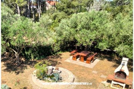 Apartmani Budija / Viola foto 3